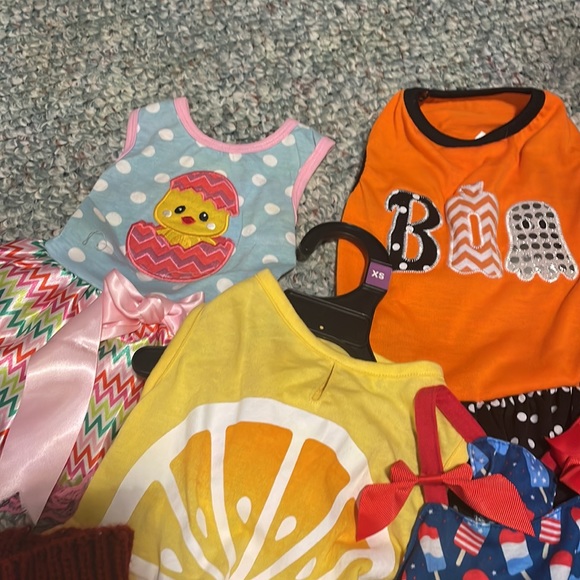 Dog clothes bundle - Picture 4 of 4